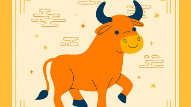 Shio Kerbau 29 April 2025: Keuangan Meningkat Tajam, tapi Cinta Diuji, Hati-Hati dengan Satu Godaan Ini!