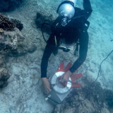 Peringati Hari Bumi 2025, Telkom Selenggarakan Konservasi Lingkungan Serentak di 4 Titik Lokasi di Indonesia