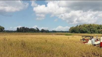 BMKG Perkuat Sinergi Hadapi Musim Kemarau dan Karhutla