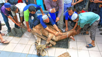 Tukang Sembelih Mengambil Daging Kurban sebagai Upah Sebenarnya Boleh atau Tidak? Ini Hukumnya dalam Islam