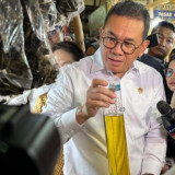 Mendag sebut Penyebab Kenaikan Harga Cabai Rawit: Faktor Cuaca