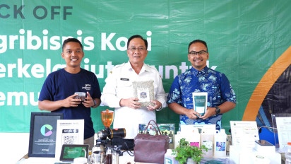 Produktivitas Petani Kopi di Malang Meningkat 18 Persen, Memanfaatkan Inovasi Agribisnis Kopi Berkelanjutan