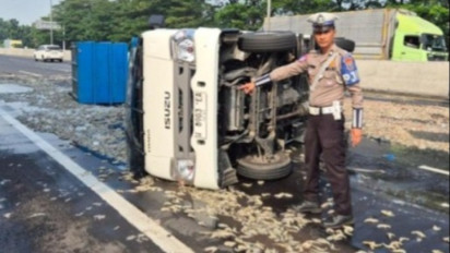 Mobil Pikap Muatan Udang Mengalami Kecelakaan Tunggal di KM 748/A Tol Waru Arah Sidoarjo