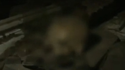 Penemuan Tengkorak di Jakarta Timur: Pemilik Rumah Sudah Tahu Ada Tengkorak di Rumahnya Sejak Lama tapi Dibiarkan, Polisi Belum Bisa Pastikan Manusia atau Bukan