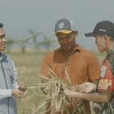 Serapan Tembus 2.000.524 Ton Setara Beras, Stok Bulog Tembus 3,6 Juta Ton