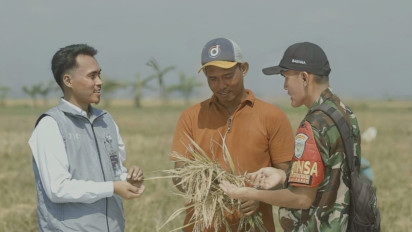 Serapan Tembus 2.000.524 Ton Setara Beras, Stok Bulog Tembus 3,6 Juta Ton