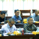 Danantara Bikin Setoran Dividen BUMN ke Negara Anjlok, Kemenkeu Mau Apa?