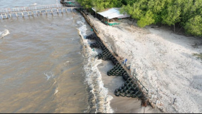 Cegah Abrasi di Pesisir Lampung, PHE OSES Kenalkan Inovasi APPOSTRAPS