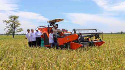 Harga Beras Dunia Anjlok ke Titik Terendah: Thailand, Vietnam, dan Kamboja Ketar-ketir, Indonesia Cetak Rekor Produksi