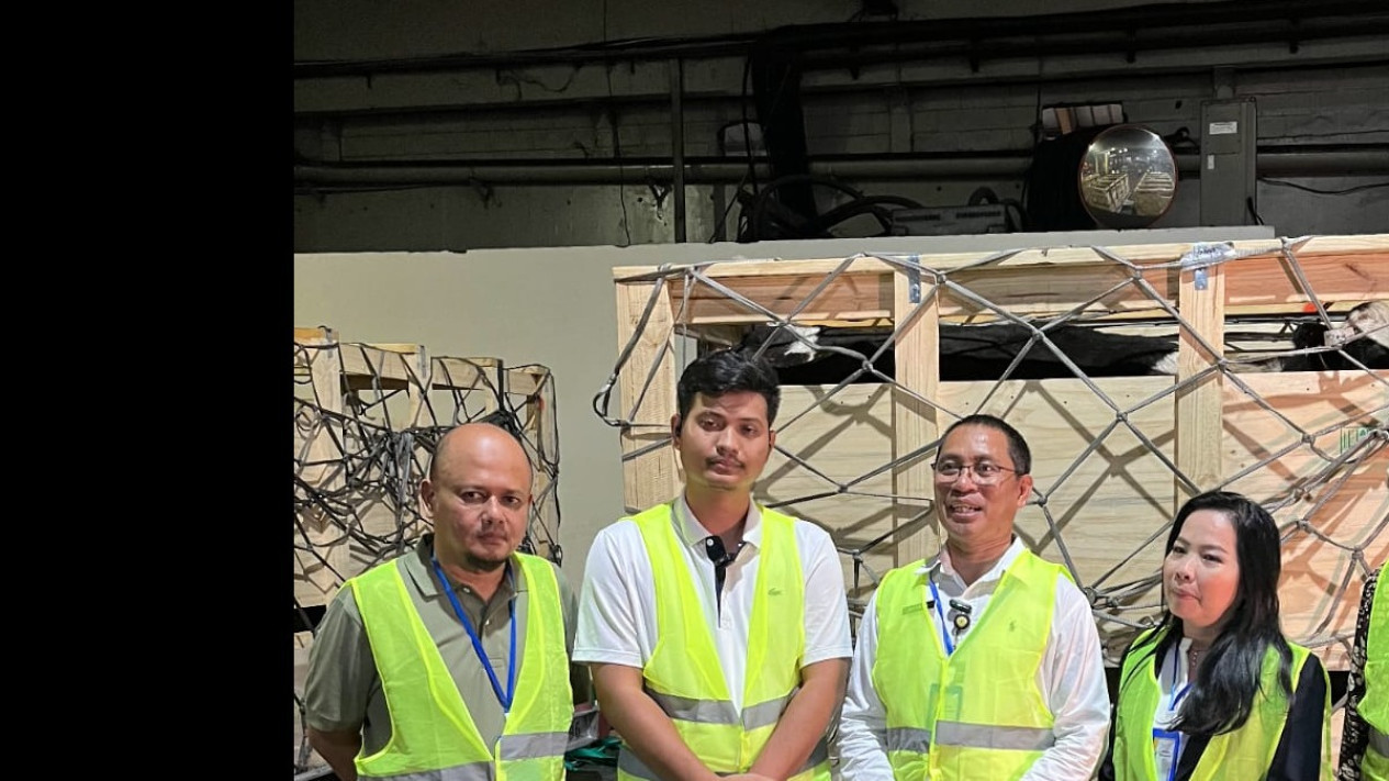 Datangkan Puluhan Ekor Sapi Perah dari Australia Wujudkan Cita-cita Prabowo Tingkatkan Produksi Susu Nasional
            - galeri foto