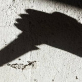 Wanita Penjual Pinang Jadi Korban Serangan OTK di Yahukimo, Diserang saat Sedang Layani Pembeli