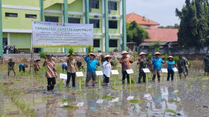Dukung Ketahanan Pangan, Kodim 0812 Lamongan dan Mahasiswa Tanam Benih PMJ 01