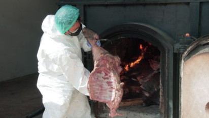 Barantin Musnahkan 2,9 Ton Daging Babi Hutan Ilegal di Cilegon Banten