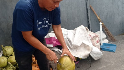 Musim Kemarau Datang, Omset Pedagang Kelapa Muda Langsung Melesat