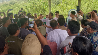 Dapat Keluhan Serangan Hama Lalat Buah, Presiden ke 7 Indonesia Jokowi Kunjungi Petani Jeruk di Karo