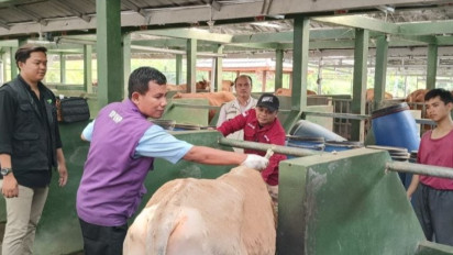Catat! Pemkab Cianjur Larang Pedagang Jajakan Hewan Kurban di Pinggir Jalan