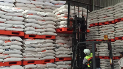 Serapan Membludak, Begini Cara BULOG Jaga Kualitas Beras di Gudang