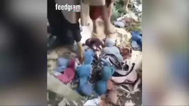 Viral, 150 Bra Ditemukan dalam Ruangan Sekolah Kosong di Bojonegoro