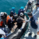 Bakamla RI Bareng Coast Guard 2 Negara Evakuasi Kapal Tenggelam, Ada Korban 30 ABK Diselamatkan