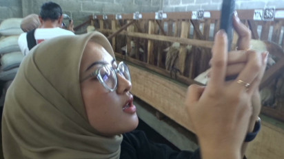 Langsung dari Kandang Kambing, Penjual Hewan Kurban di Wonosobo Libatkan Influencer Cantik Live di Medsos