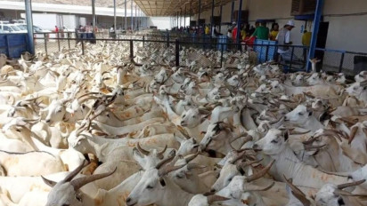 PPIH Terbitkan Larangan Jemaah Haji 2025 yang Menyembelih Dam di RPH: Yang Kerja Sama Dikenakan Sanksi