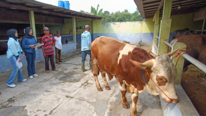 Capaian Vaksinasi PMK di DIY Tembus 52.113 Dosis Jelang Iduladha, Kemunculan Kasus Baru Diklaim Nihil