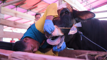 Jelang Idul Adha, 146 Petugas Diterjunkan DKPP Kota Bandung Untuk Jamin Kesehatan Hewan Kurban