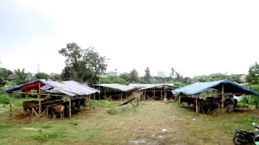 Potret Tenda Pecel Lele dan Hewan Kurban di Lahan BMKG yang Dicaplok Ormas Milik Hercules (GRIB Jaya), Pedagang Curhat Sudah Bayar Puluhan Juta untuk Sewa