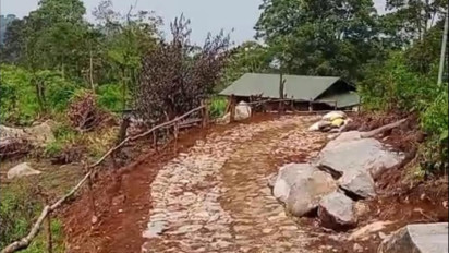 Aktivis Pemerhati Lingkungan Soroti Isu Pembabatan Pohon di Dekat Kawasan Hutan Lindung Gunung Halimun Salak