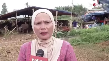 Pedagang sekaligus pemilik lapak hewan kurban, Inawah akui resah dengan anak buah Hercules dari GRIB Jaya di lahan BMKG