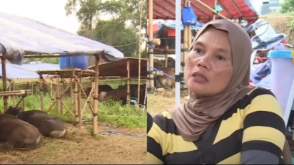 GRIB Jaya: Sewa Lahan Sengketa Bukan Pidana, Kami Taat Hukum!