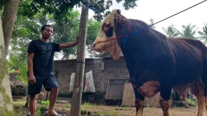 Hercules Bakal Dikurbankan Presiden Prabowo di Kulon Progo