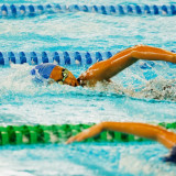 Jadwal Akuatik Indonesia Sepanjang 2026: Padat Merayap, Skuad Merah Putih Siap Unjuk Gigi di Level Internasional