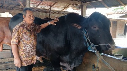Hewan Kurban Presiden Prabowo akan Disembelih untuk Wilayah Terpencil di Sragen