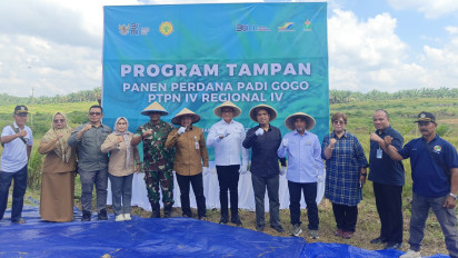 RSI dan PTPN IV PalmCo Panen Perdana Padi Gogo di Jambi