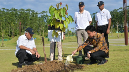 Tak Ikut Bertemu Presiden Macron, Gibran Ternyata Tanam Pohon Ulin usai Menginap di IKN