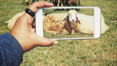 Mampu dan Punya Duit tapi Tidak Mau Berkurban, Berdosakah? Ustaz Abdul Somad Tegaskan Itu...