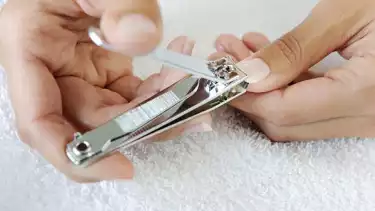 Hukum Terlanjur Potong Kuku Sebelum Hewan Kurban Dipotong