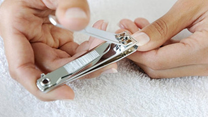 Hukum Terlanjur Potong Kuku Sebelum Hewan Kurban Dipotong