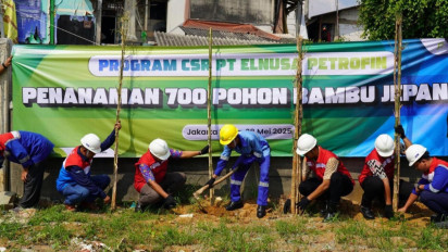Peringati Hari Lingkungan Hidup Sedunia,  Ribuan Pohon Ditanam di Jalur Distribusi Energi