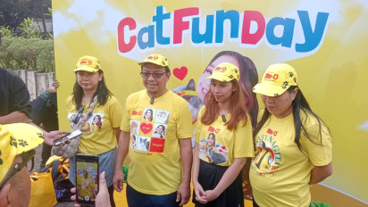 Momen Hari Peluk Kucing Sedunia, Masyarakat Diajak Lebih Menyayangi Kucing