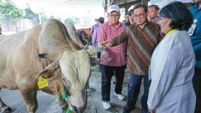 Pemprov Jakarta Kurban 69.000 Ekor Hewan Kurban, Pramono Turunkan 300 Juru Sembelih Halal