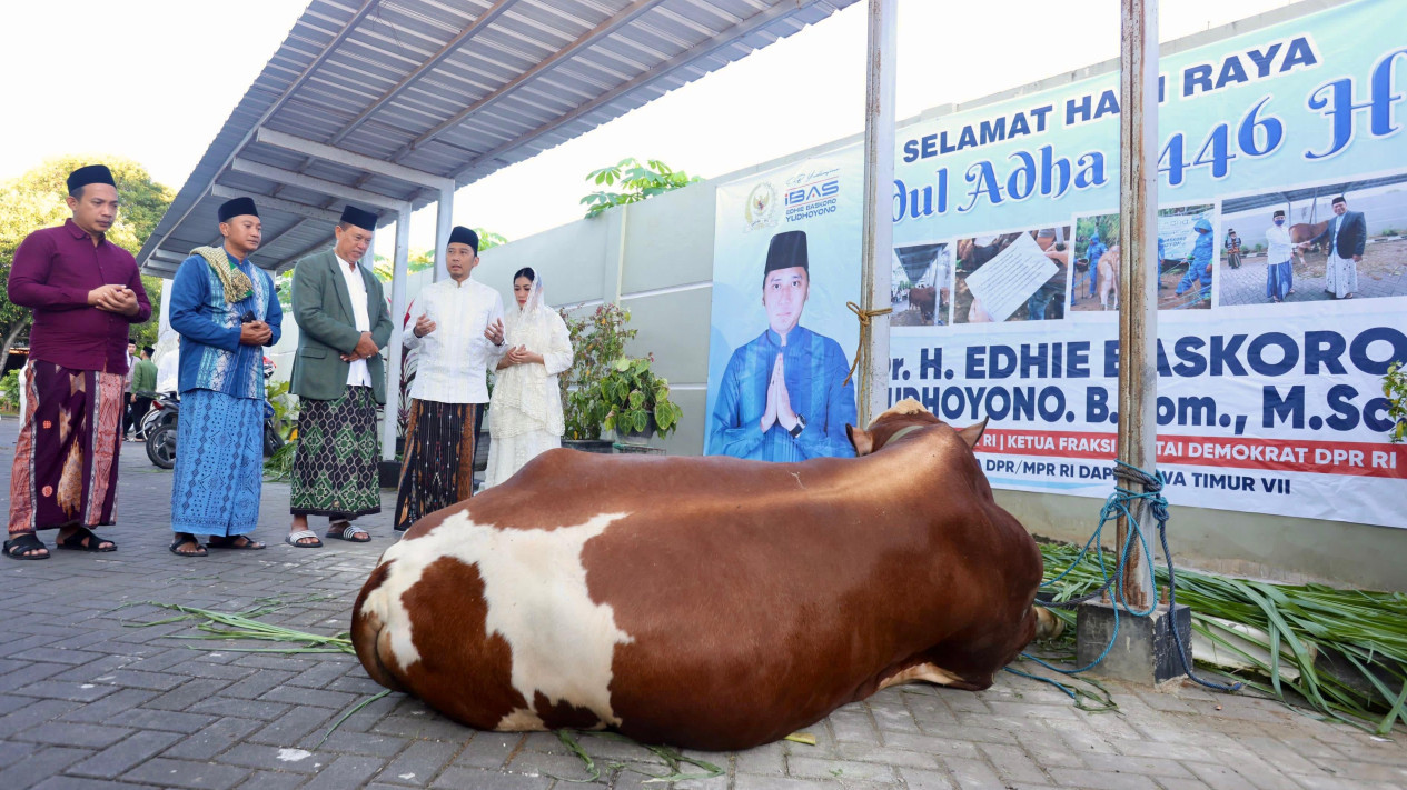Ibas dan Istri Salat Idul Adha di Pacitan, Sambil Serahkan Hewan Kurban untuk Warga
            - galeri foto