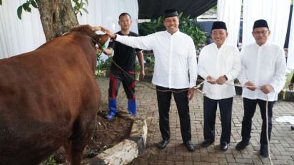 BSI Salurkan 15.272 Ekor Hewan Kurban di Idul Adha 1446 Hijriah
