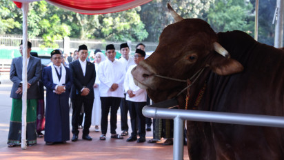 Seribu Sapi Kurban Diborong Presiden Prabowo dari APPSI, Muzani: Kami Merasa Naik Kelas