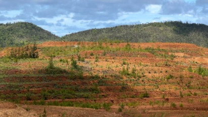 Tokoh Muda Apresiasi Ketegasan Prabowo Cabut IUP Tambang Nakal di Raja Ampat: Pak Presiden Mendengar Rakyat
