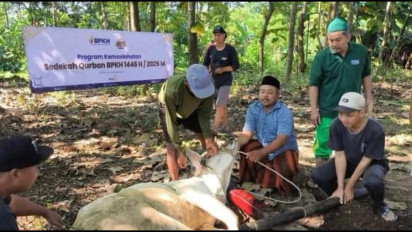 BPKH Salurkan Lebih dari 500 Hewan Kurban Hingga Wilayah 3T Indonesia