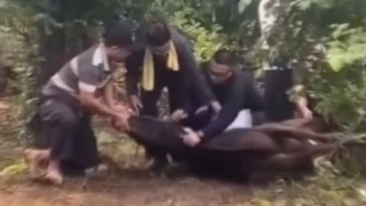 Innalillahi, Seorang Ustaz di Bogor Meninggal Saat Sembelih Hewan Kurban, Sempoyongan Setelah Tarik Goloknya