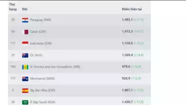 Poin yang dikumpulkan Timnas Indonesia lebih tinggi dari juara Euro Spanyol (12,5 poin) dan juara Piala Dunia Argentina (4,1 poin).
