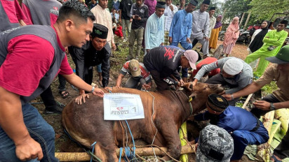 Warga Rempang Terima Hewan Kurban di Momen Idul Adha